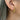 Astra Twist Hoops